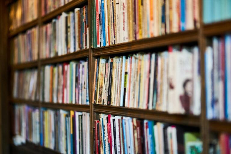 cómo hacer una revisión bibliográfica